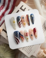 FIFA USA Reusable Press On Nails - Image 4