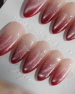 Mars Mist Reusable Press On Nails