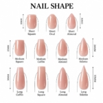 Midnight Muse Reusable Press On Nails - Image 5